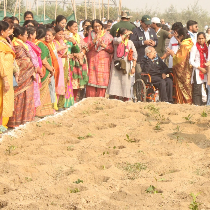 Plantation Drive in Noida