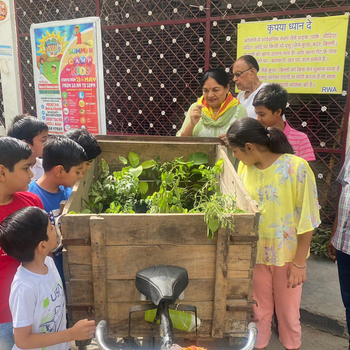 Tree Plantation Drive in South East