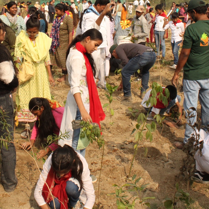 Plantation Drive at Pakshi Vihar